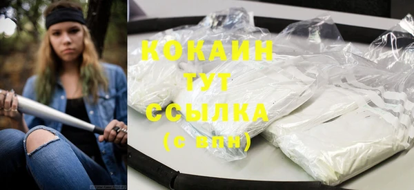 сатива Аркадак