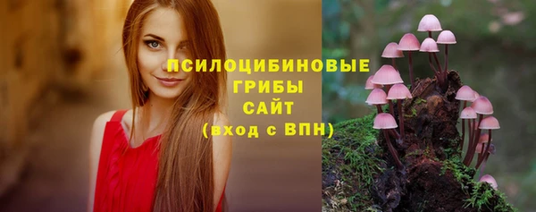 сатива Аркадак