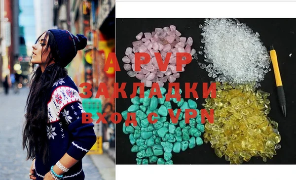 spice Арсеньев