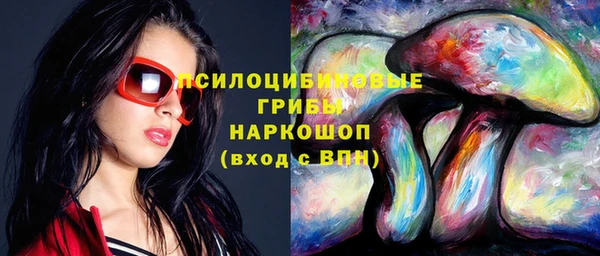 spice Арсеньев